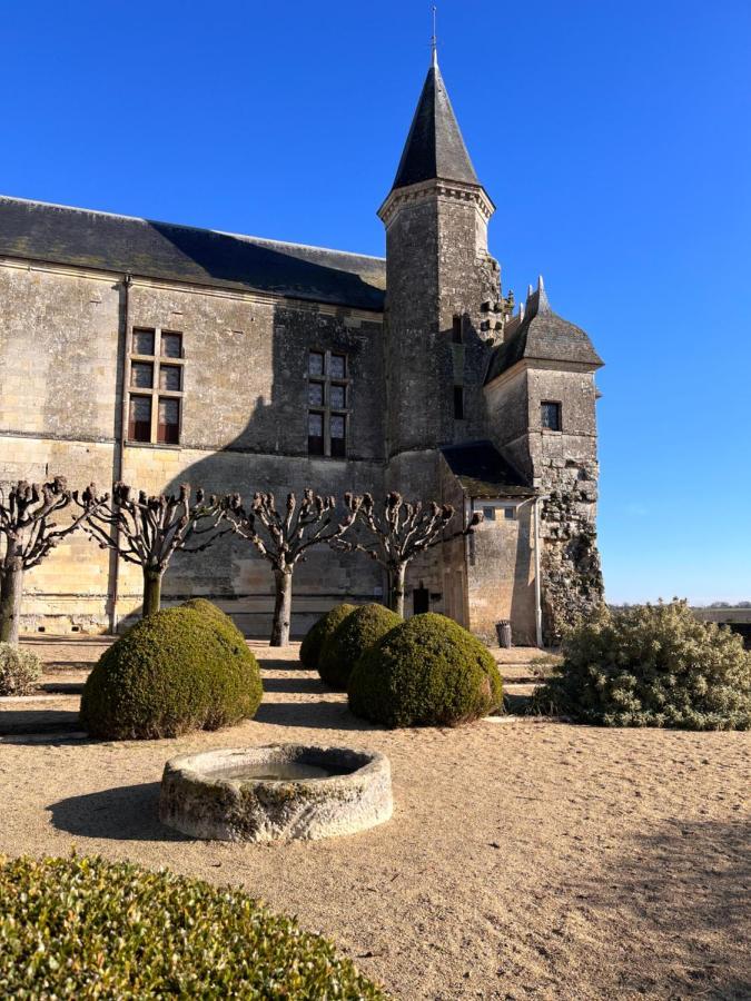 Maisons D'Hotes Du Chateau Au Grand Pressigny Le Grand-Pressigny Zewnętrze zdjęcie
